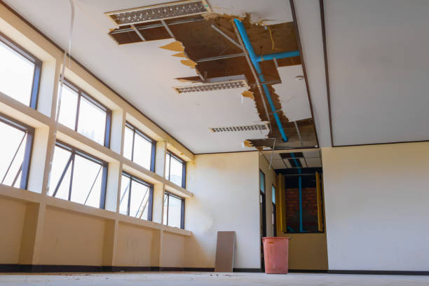 Best Residential water damage restoration  in Crosby, MN