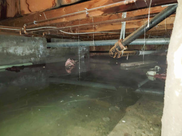 Best Water damage restoration near me  in Crosby, MN