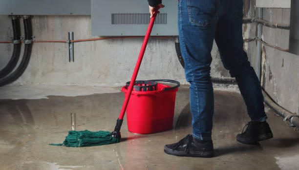 Best Sewage cleanup and water damage restoration  in Crosby, MN