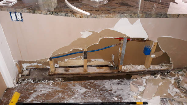 Best Water damage contractors near me  in Crosby, MN
