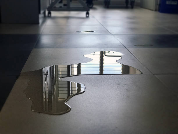 Best Commercial water damage restoration  in Crosby, MN