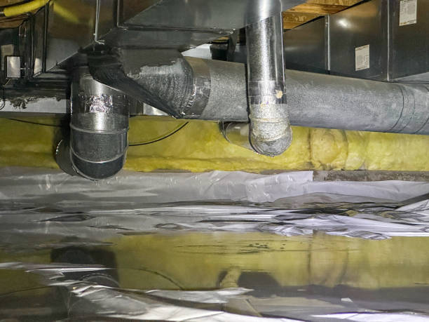 Best Basement water damage restoration  in Crosby, MN